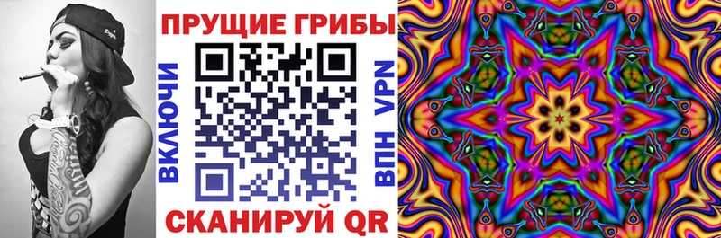 Галлюциногенные грибы Psilocybine cubensis Онега