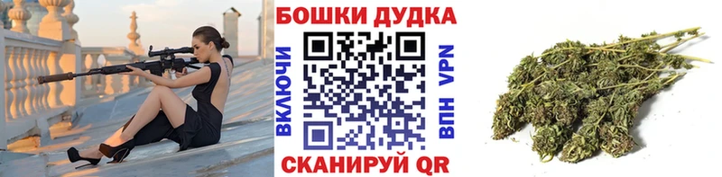 Каннабис MAZAR  Онега 